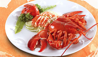 ��������רҵ