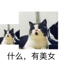 元旦晚会直播