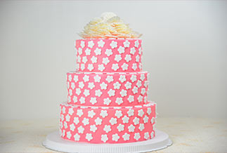 �������ܴ��� ������Ʒչʾ