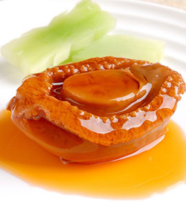 ������ʦרҵ_�����¶������ѧУ