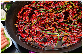 ��������ѵ