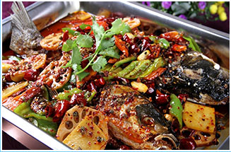 ���쿾����ѵ