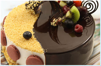 ����������ѵ